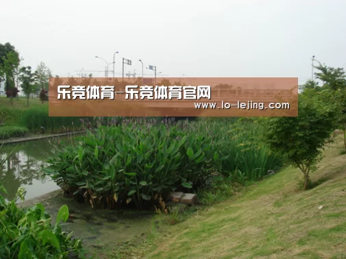 案例展示四(图1)