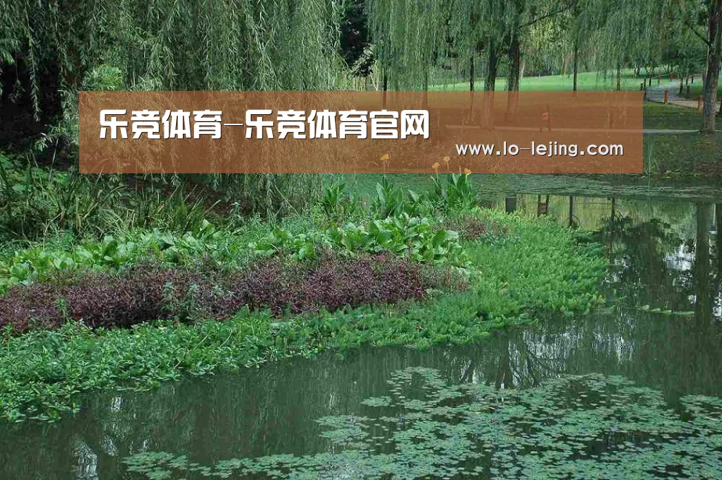 案例展示一(图1)