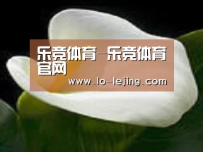 产品名称七